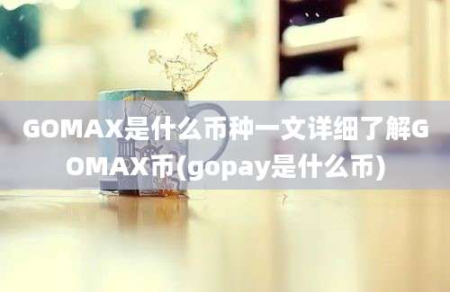 GOMAX是什么币种一文详细了解GOMAX币(gopay是什么币)