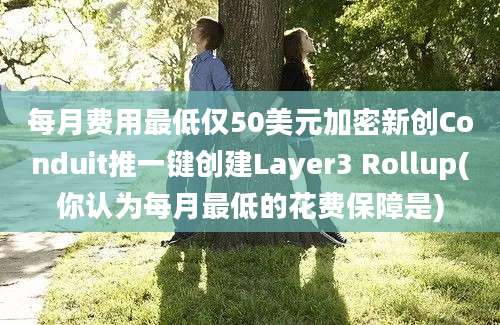 每月费用最低仅50美元加密新创Conduit推一键创建Layer3 Rollup(你认为每月最低的花费保障是)