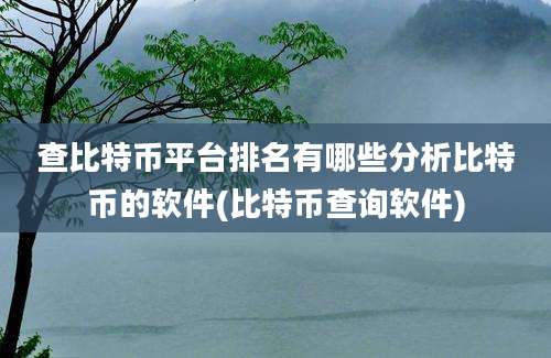 查比特币平台排名有哪些分析比特币的软件(比特币查询软件)