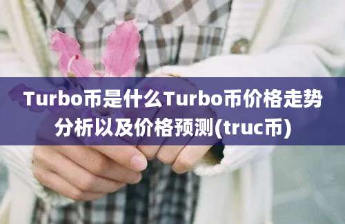 Turbo币是什么Turbo币价格走势分析以及价格预测(truc币)