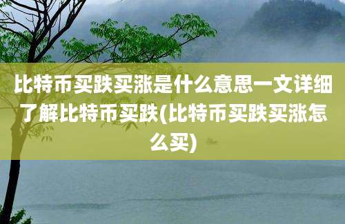 比特币买跌买涨是什么意思一文详细了解比特币买跌(比特币买跌买涨怎么买)