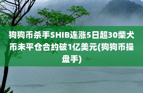 狗狗币杀手SHIB连涨5日超30柴犬币未平仓合约破1亿美元(狗狗币操盘手)