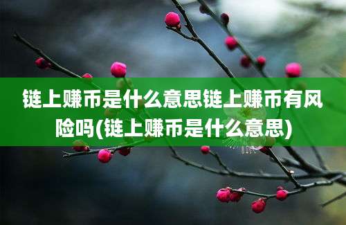 链上赚币是什么意思链上赚币有风险吗(链上赚币是什么意思)