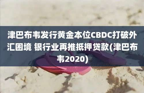 津巴布韦发行黄金本位CBDC打破外汇困境 银行业再推抵押贷款(津巴布韦2020)