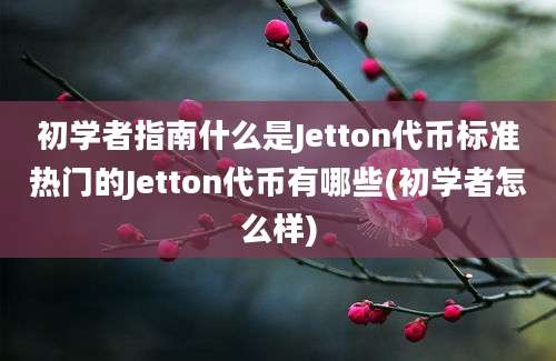 初学者指南什么是Jetton代币标准热门的Jetton代币有哪些(初学者怎么样)