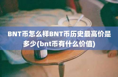 BNT币怎么样BNT币历史最高价是多少(bnt币有什么价值)