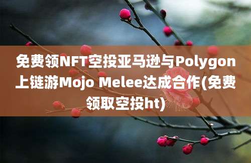 免费领NFT空投亚马逊与Polygon上链游Mojo Melee达成合作(免费领取空投ht)