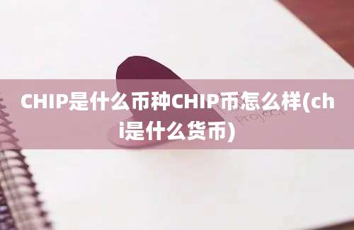 CHIP是什么币种CHIP币怎么样(chi是什么货币)