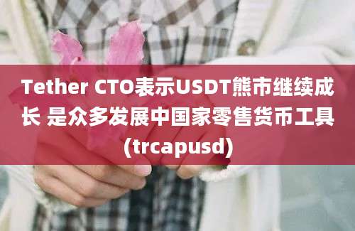 Tether CTO表示USDT熊市继续成长 是众多发展中国家零售货币工具(trcapusd)