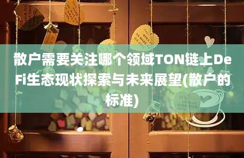 散户需要关注哪个领域TON链上DeFi生态现状探索与未来展望(散户的标准)