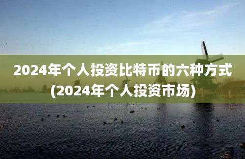 2024年个人投资比特币的六种方式(2024年个人投资市场)