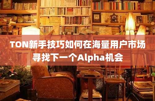 TON新手技巧如何在海量用户市场寻找下一个Alpha机会