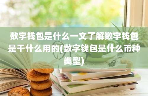 数字钱包是什么一文了解数字钱包是干什么用的(数字钱包是什么币种类型)