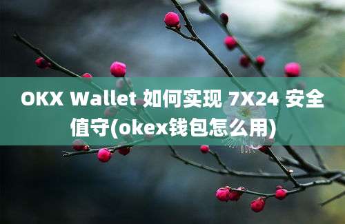 OKX Wallet 如何实现 7X24 安全值守(okex钱包怎么用)