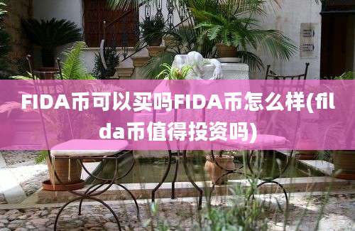 FIDA币可以买吗FIDA币怎么样(filda币值得投资吗)