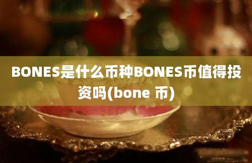 BONES是什么币种BONES币值得投资吗(bone 币)