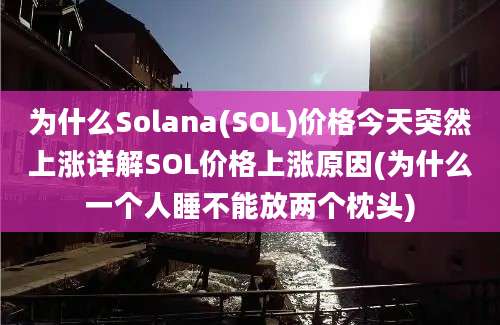 为什么Solana(SOL)价格今天突然上涨详解SOL价格上涨原因(为什么一个人睡不能放两个枕头)