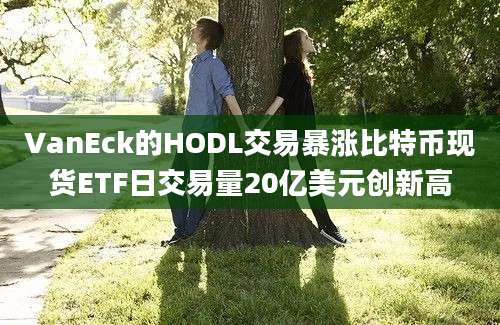 VanEck的HODL交易暴涨比特币现货ETF日交易量20亿美元创新高