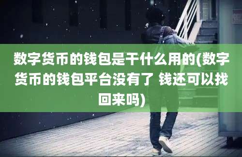 数字货币的钱包是干什么用的(数字货币的钱包平台没有了 钱还可以找回来吗)