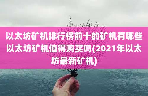 以太坊矿机排行榜前十的矿机有哪些以太坊矿机值得购买吗(2021年以太坊最新矿机)