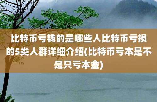 比特币亏钱的是哪些人比特币亏损的5类人群详细介绍(比特币亏本是不是只亏本金)