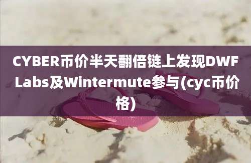 CYBER币价半天翻倍链上发现DWF Labs及Wintermute参与(cyc币价格)