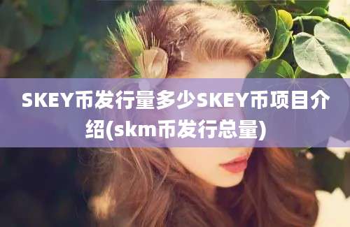 SKEY币发行量多少SKEY币项目介绍(skm币发行总量)