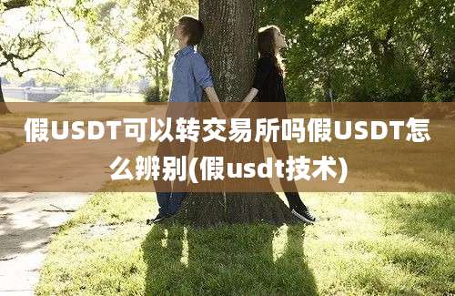 假USDT可以转交易所吗假USDT怎么辨别(假usdt技术)