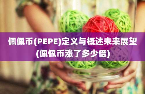 佩佩币(PEPE)定义与概述未来展望(佩佩币涨了多少倍)