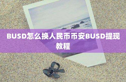 BUSD怎么换人民币币安BUSD提现教程