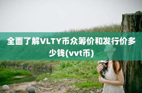 全面了解VLTY币众筹价和发行价多少钱(vvt币)