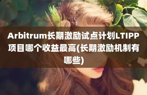 Arbitrum长期激励试点计划LTIPP项目哪个收益最高(长期激励机制有哪些)