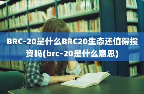 BRC-20是什么BRC20生态还值得投资吗(brc-20是什么意思)