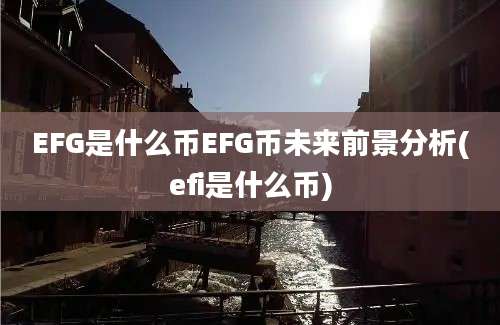 EFG是什么币EFG币未来前景分析(efi是什么币)