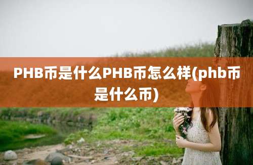 PHB币是什么PHB币怎么样(phb币是什么币)