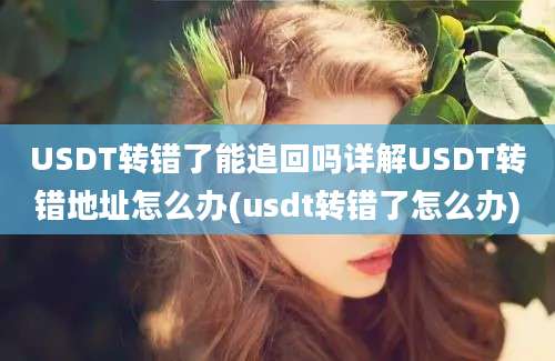 USDT转错了能追回吗详解USDT转错地址怎么办(usdt转错了怎么办)