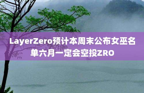 LayerZero预计本周末公布女巫名单六月一定会空投ZRO