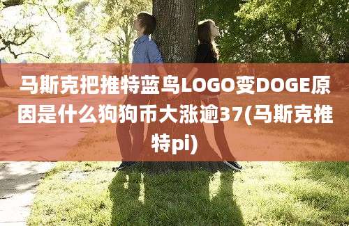 马斯克把推特蓝鸟LOGO变DOGE原因是什么狗狗币大涨逾37(马斯克推特pi)