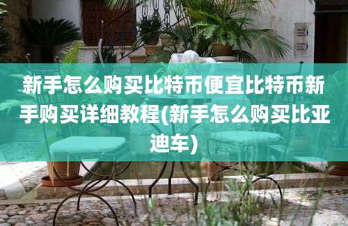 新手怎么购买比特币便宜比特币新手购买详细教程(新手怎么购买比亚迪车)