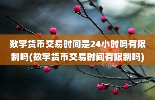 数字货币交易时间是24小时吗有限制吗(数字货币交易时间有限制吗)