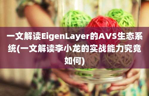 一文解读EigenLayer的AVS生态系统(一文解读李小龙的实战能力究竟如何)