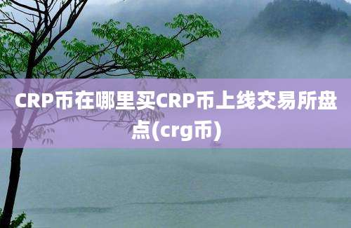 CRP币在哪里买CRP币上线交易所盘点(crg币)