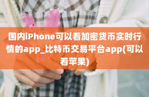 国内iPhone可以看加密货币实时行情的app_比特币交易平台app(可以看苹果)