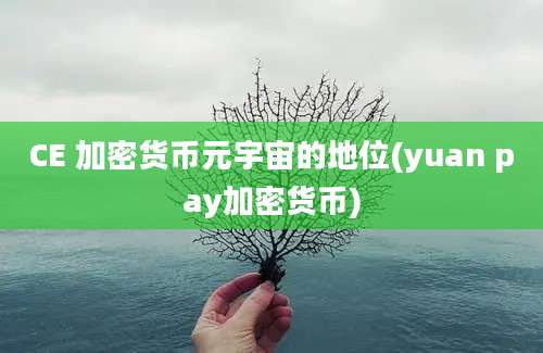 CE 加密货币元宇宙的地位(yuan pay加密货币)