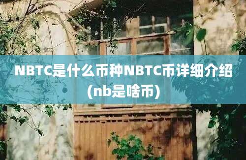 NBTC是什么币种NBTC币详细介绍(nb是啥币)