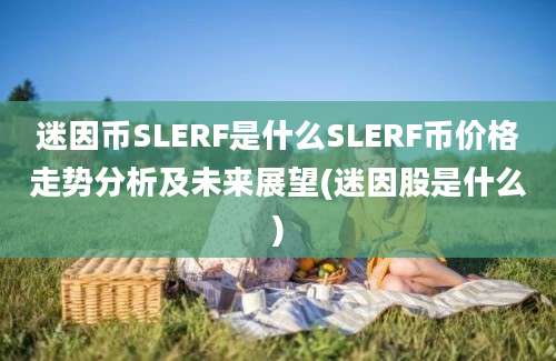 迷因币SLERF是什么SLERF币价格走势分析及未来展望(迷因股是什么)