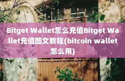 Bitget Wallet怎么充值Bitget Wallet充值图文教程(bitcoin wallet怎么用)