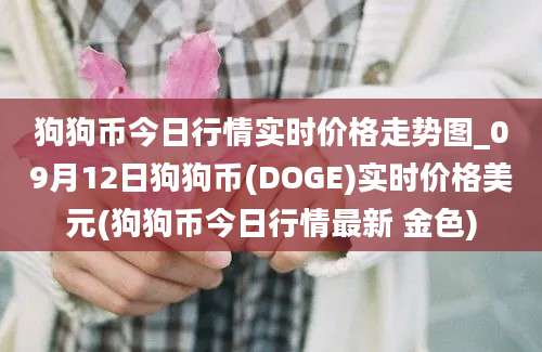 狗狗币今日行情实时价格走势图_09月12日狗狗币(DOGE)实时价格美元(狗狗币今日行情最新 金色)