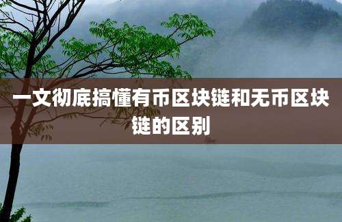 一文彻底搞懂有币区块链和无币区块链的区别