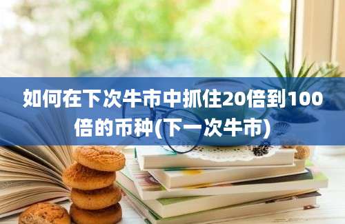 如何在下次牛市中抓住20倍到100倍的币种(下一次牛市)